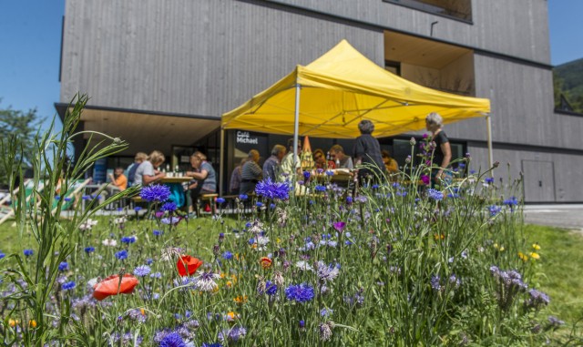Gartentage in St. Michael - Miteinander das Außengelände pflegen
