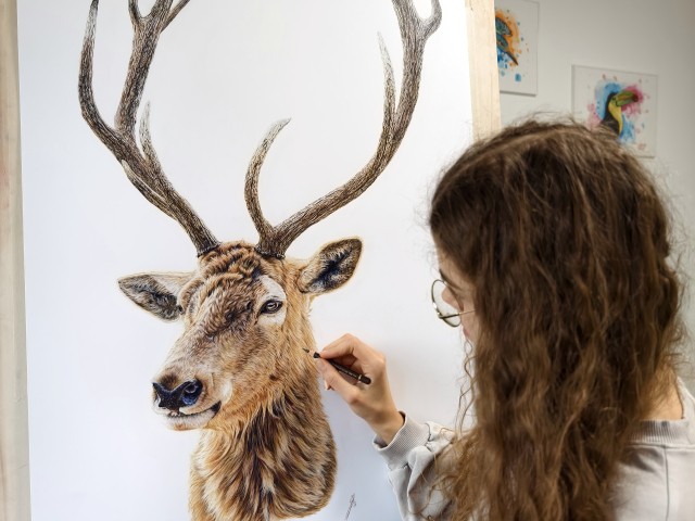 Kunst in Kürze mit Sarah Blaßnig