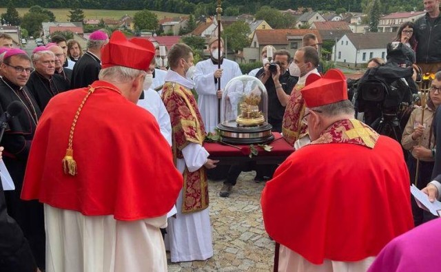 Warum nur noch Kardinäle Papst werden