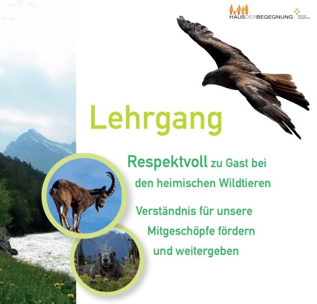 Lehrgang Respektvoll zu Gast bei den heimischen Wildtieren. Start: September 2025