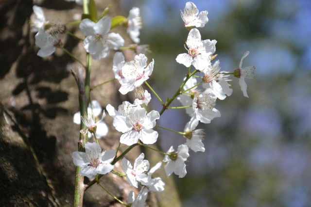 Liebe Gäste und Besucher:innenn