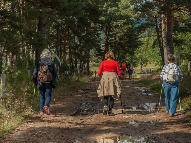 Gemeinschaft erleben – sich an der Natur freuen – zur Ruhe kommen