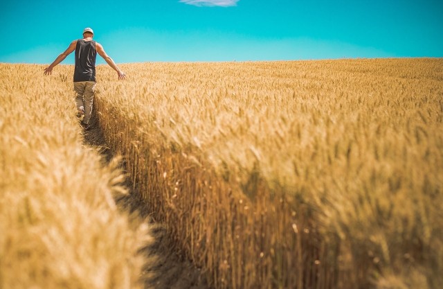 Hunger im Überfluss – globale Ernährungsgerechtigkeit? 