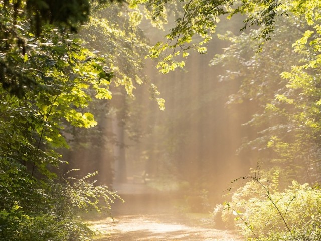 Laudato Si‘-Weg