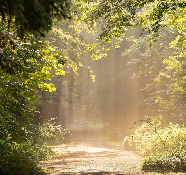 Laudato Si‘-Weg
