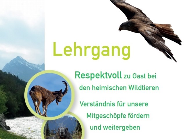 Lehrgang Respektvoll zu Gast bei den heimischen Wildtieren 2025/26