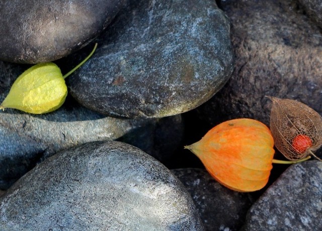 LEIB UND SEELE GUTES TUN