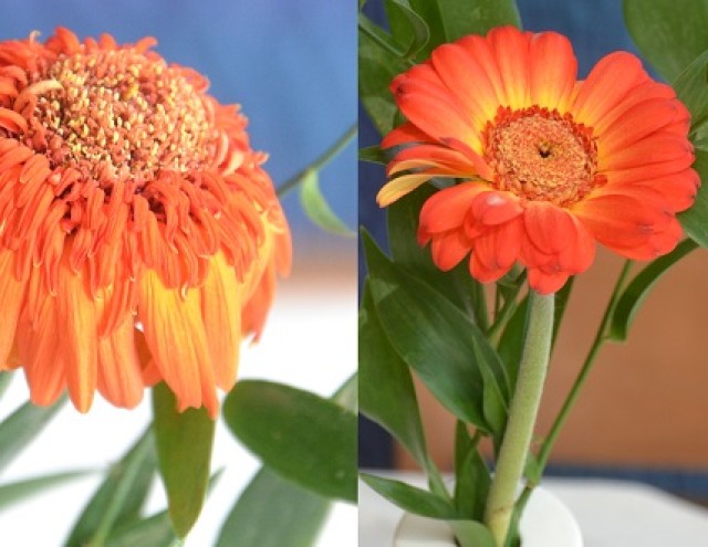 Raus aus der Erschöpfung