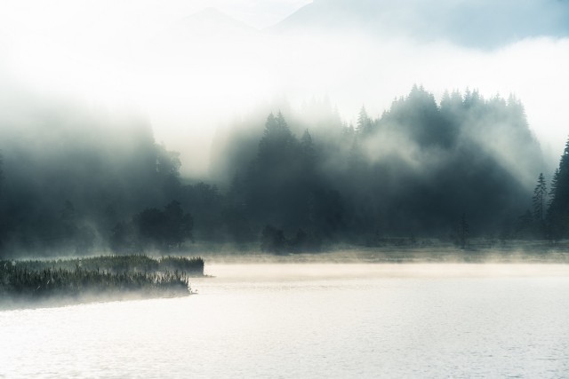 Suizid: Was beginnt, wenn jemand sein Leben beendet