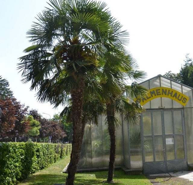 Trauerspaziergang Hofgarten Innsbruck