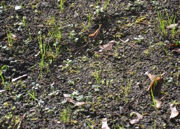 17. November 22 Detail