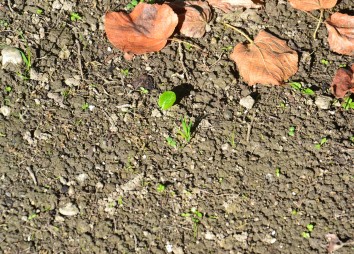 19. Oktober 22 Detail