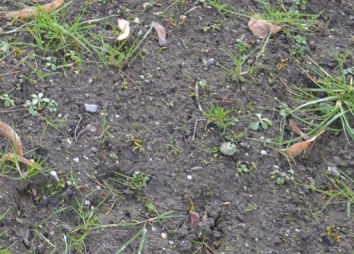 13. Jänner 23 Detail