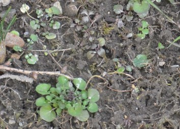 17. Feber 2023 Detail