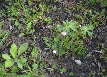 21. April 2023 Detail