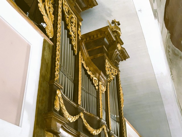 Orgellandschaft entdecken