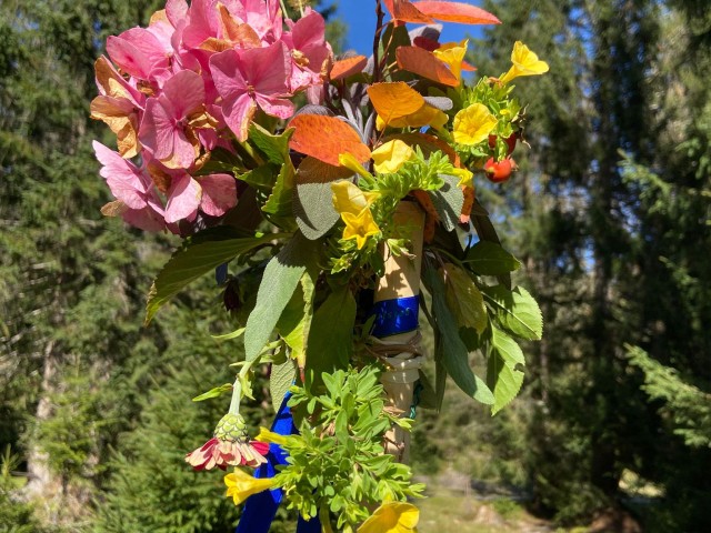 Frauenpilgertag: Mehr als 3.000 Frauen pilgerten durch ganz Österreich - Ein Fest des Glaubens, der Gemeinschaft und der Hoffnung