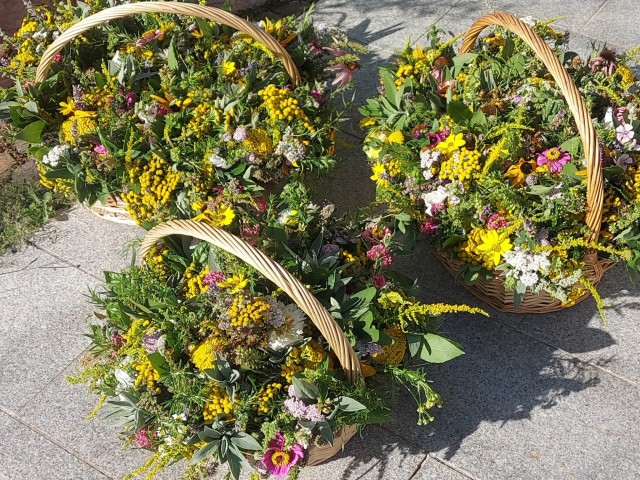 Tradition mit Heilkraft - das Binden und Weihen von Kräuterbuschen an Mariä Himmelfahrt