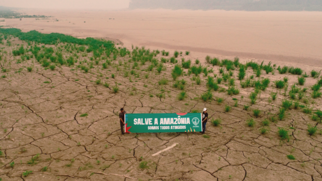 Alerta Amazônia! – Kunstwerke rütteln wach